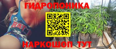наркотики Берёзовский