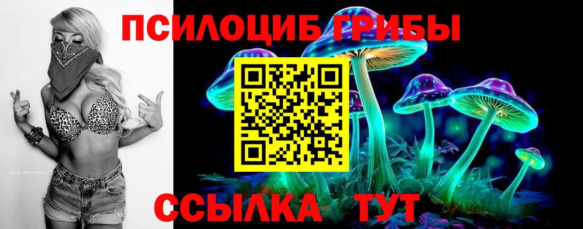 Галлюциногенные грибы GOLDEN TEACHER Кирово-Чепецк