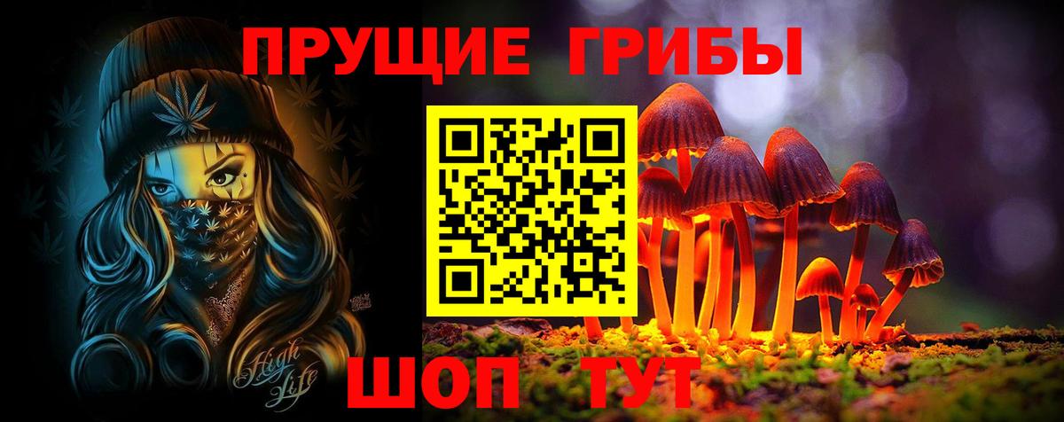Псилоцибиновые грибы Psilocybine cubensis  Вход с VPN  Кирово-Чепецк 